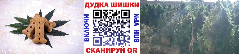Canna-Cookies конопля  купить наркотики сайты  Сосновоборск 
